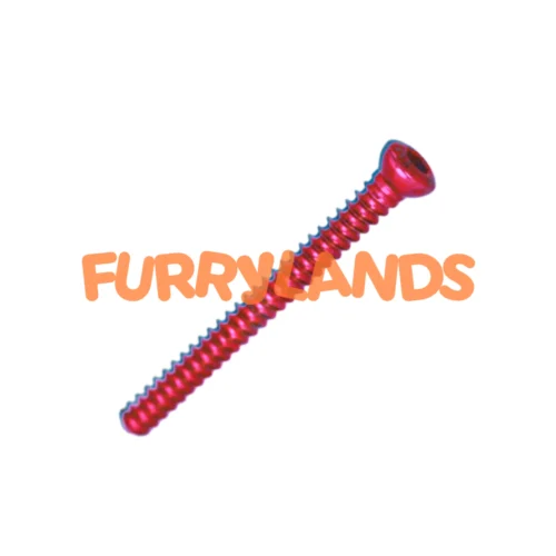 2.4mm Cortex Screw with Hexagonal Socket Precision Orthopedic Bone Screw in Titanium & Stainless Steel