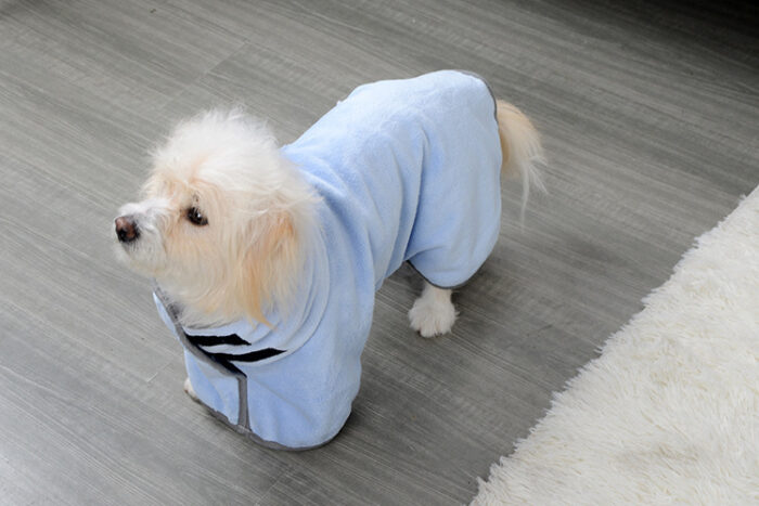 6158af89 1531 4a2a a377 1ff1ba6c562c Furry Lands