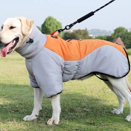 Dog Winter Jacket Dog Cold Weather Coats Paded Dog Vest with Harness Built in Pet Warm Clothes