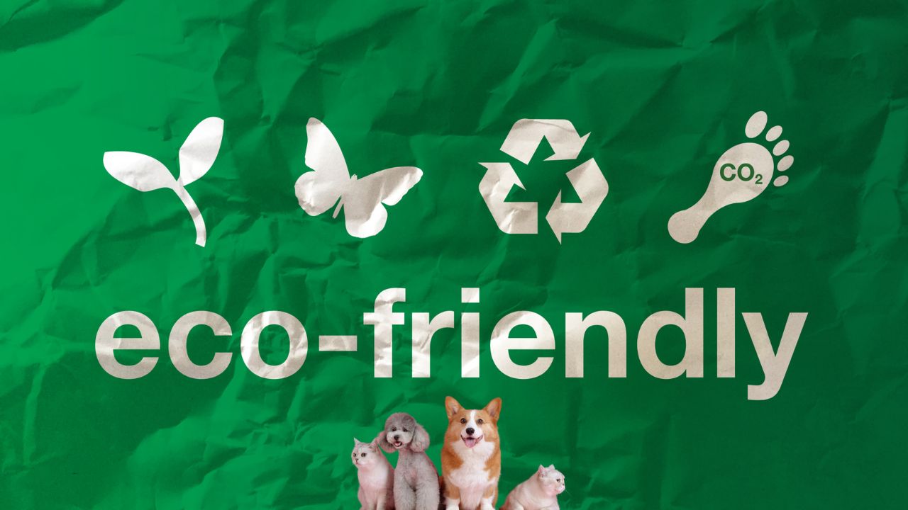 Top 10 Eco Friendly Pet Products for a Sustainable Future Furry Lands