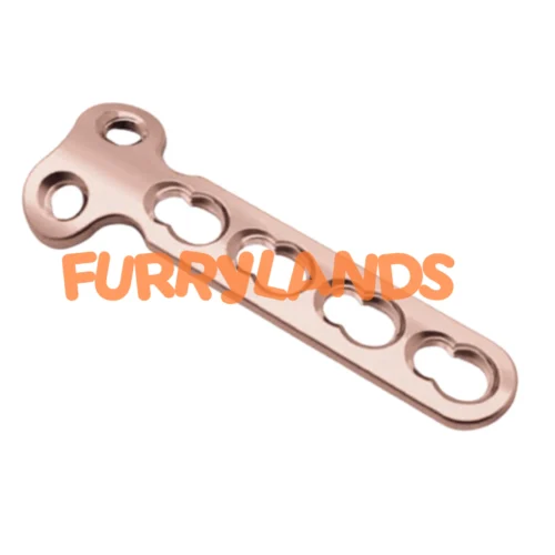 Veterinary Locking T-Plate 2.7 mm Two Head Hole Design for Small Animal Orthopedic Fixation
